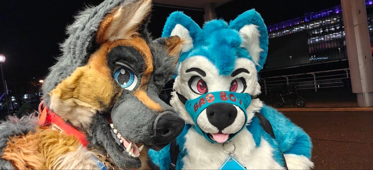 Merlin/MrSheppy - Furrific/MFF 2025 tweet media