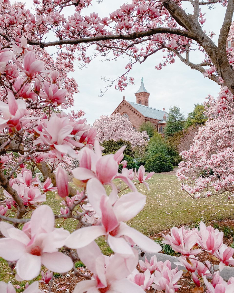 Visit Washington, DC tweet media