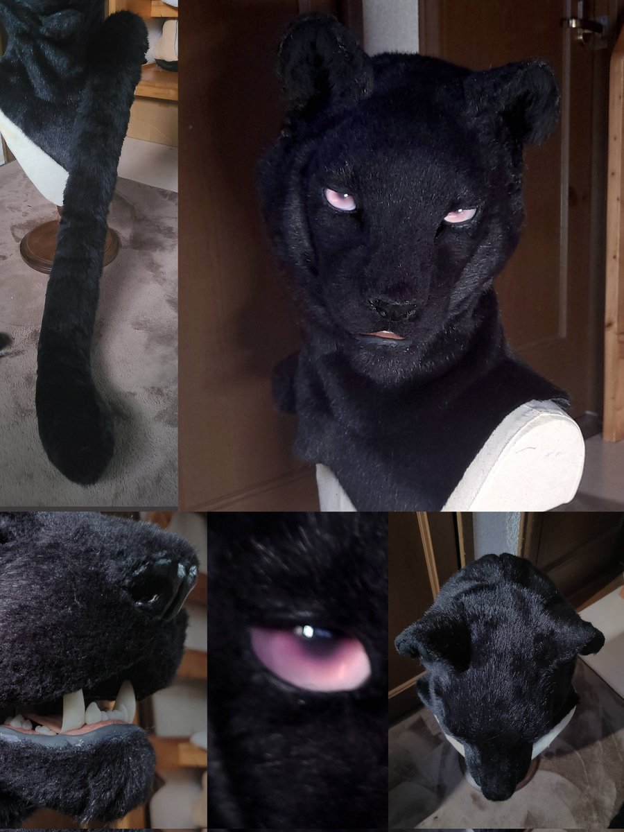 創造トリアノン🇯🇵 tweet media