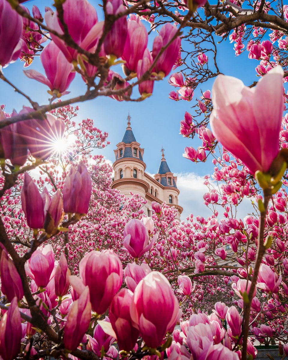 Visit Washington, DC tweet media