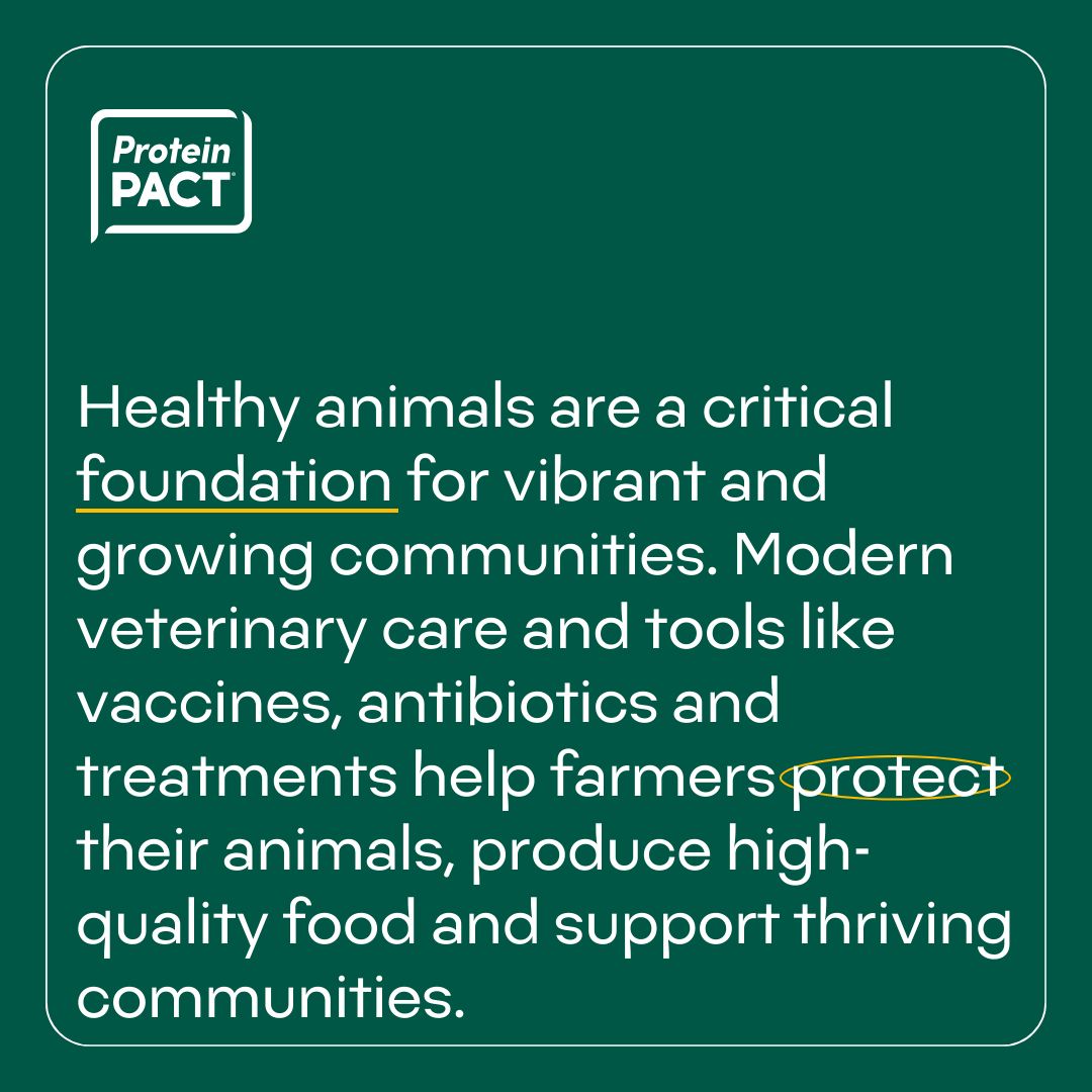 The Protein PACT tweet media