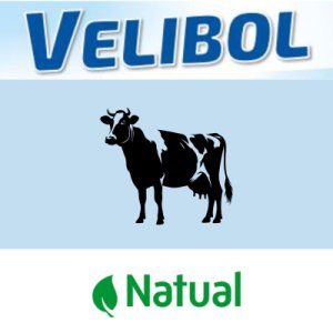 Precision Nutrition  tweet media