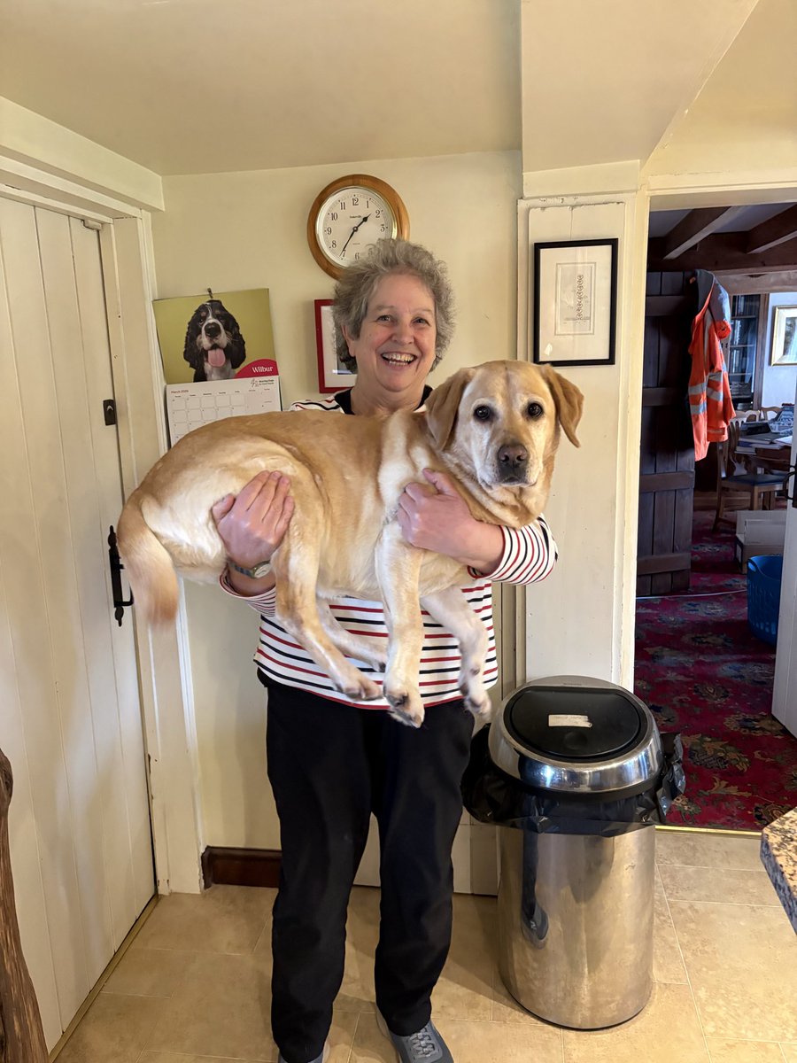 Heather Self tweet media