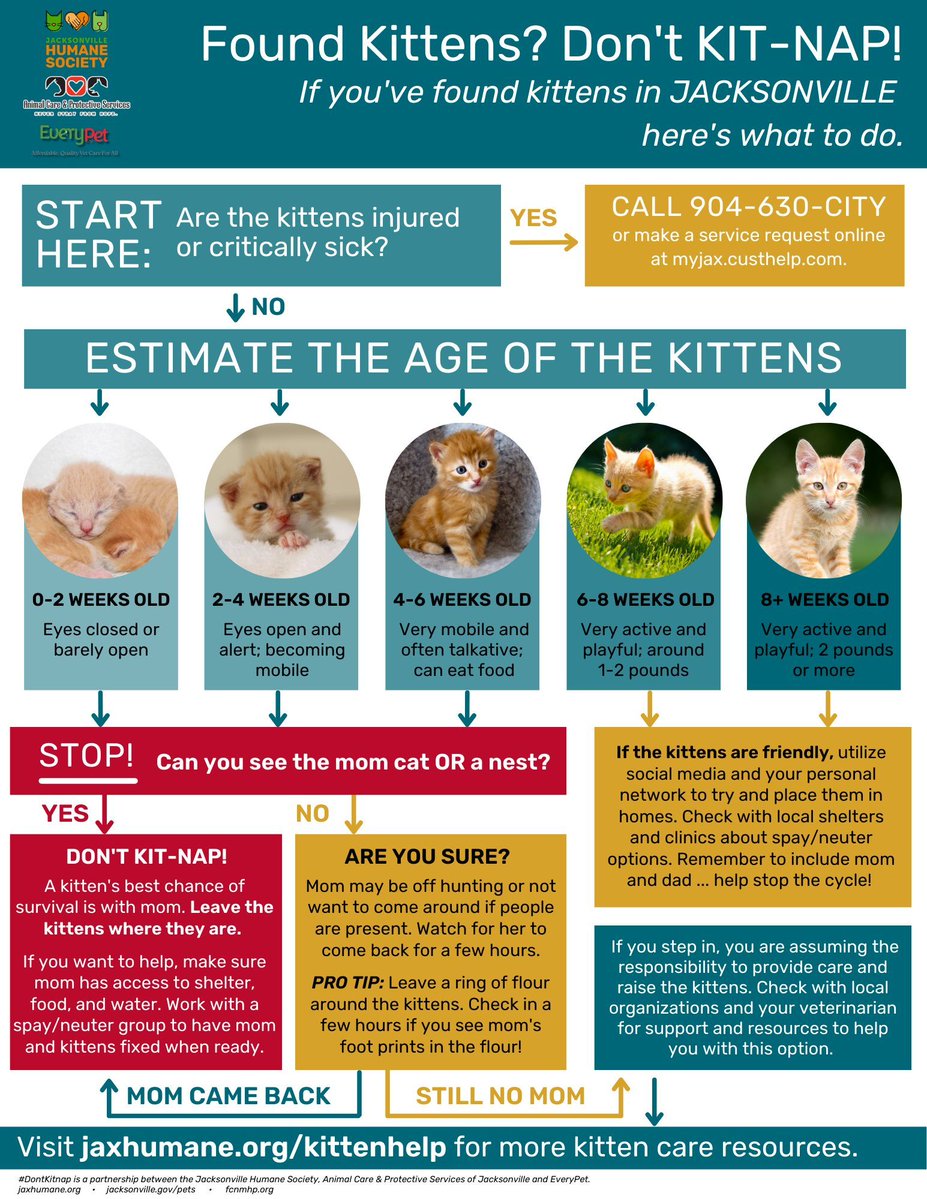 Jax Humane Society tweet media