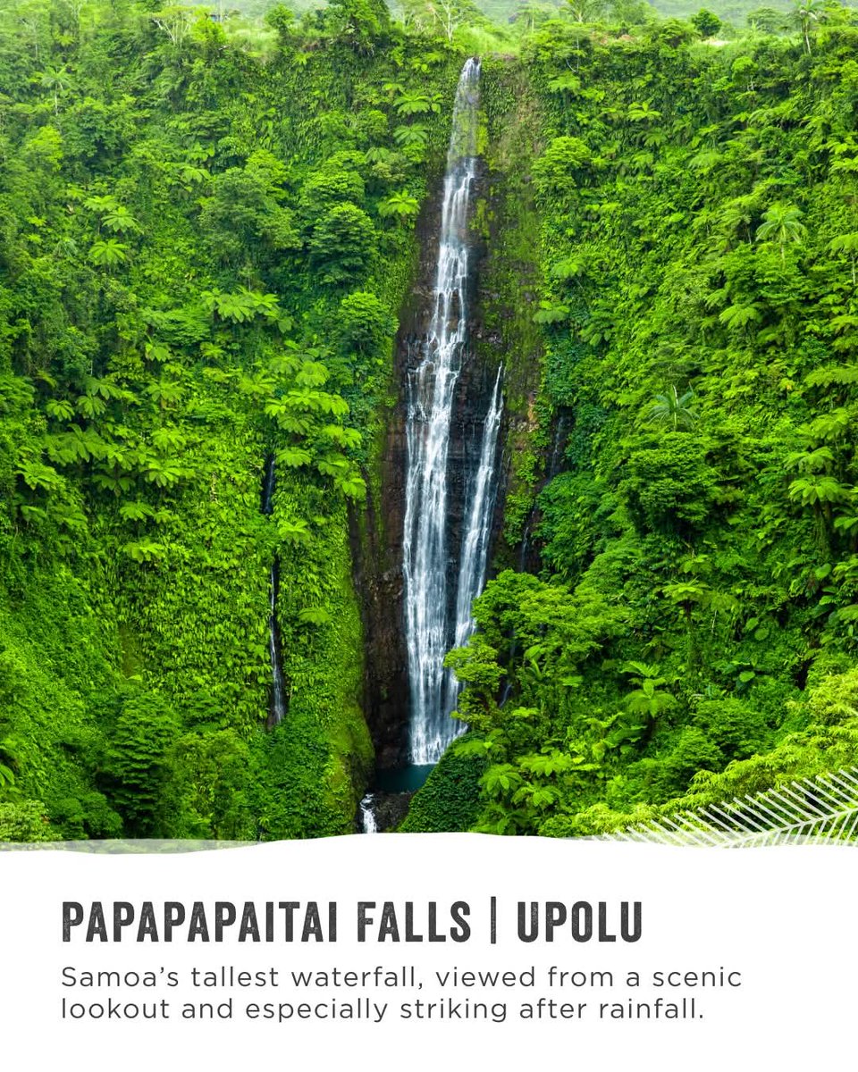 RepPlusUK's tweet image. It’s waterfall season in Samoa! When rainfall peaks in February and March, Samoa’s waterfalls are at their most dramatic. Which one will you visit first?

Learn more about Samoa’s waterfalls! Dive in here: samoa.travel/experience/pla… 

#DiscoverBeautiful #RepPlusClient