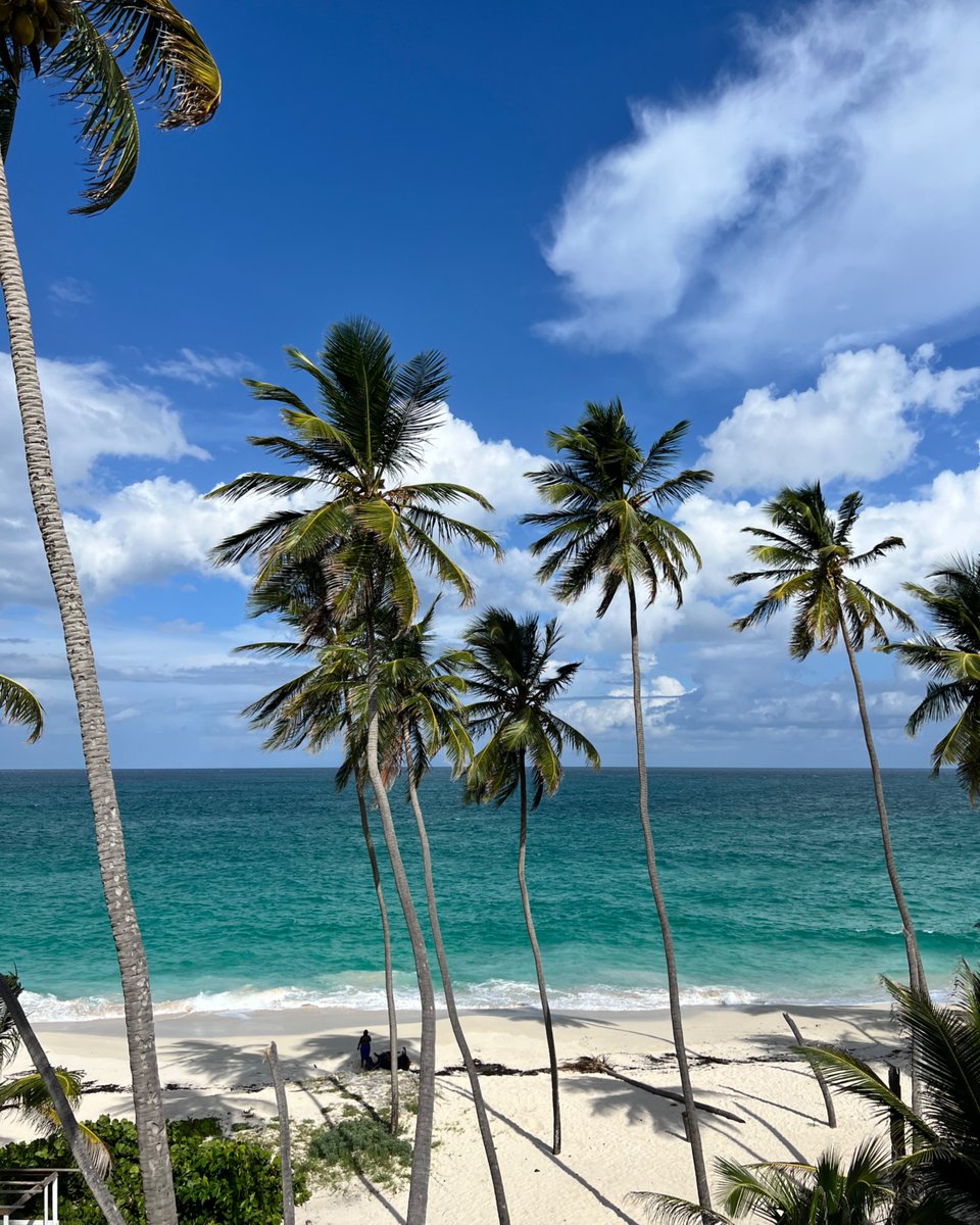 Barbados's tweet image. Name this view.👀🇧🇧

Hint, it is where dramatic cliffs meet powder soft sand and turquoise water steals the show.
Yes, it is beautiful Bottom Bay.

Now that you know, when are you coming to see it for yourself?

#MyBarbados #LoveBarbados #VisitBarbados