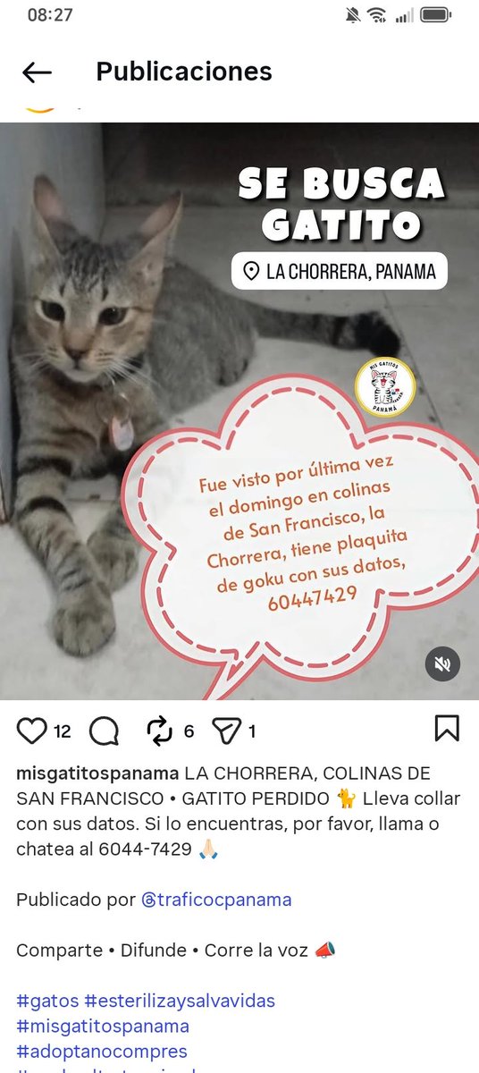 Nacelys González tweet media