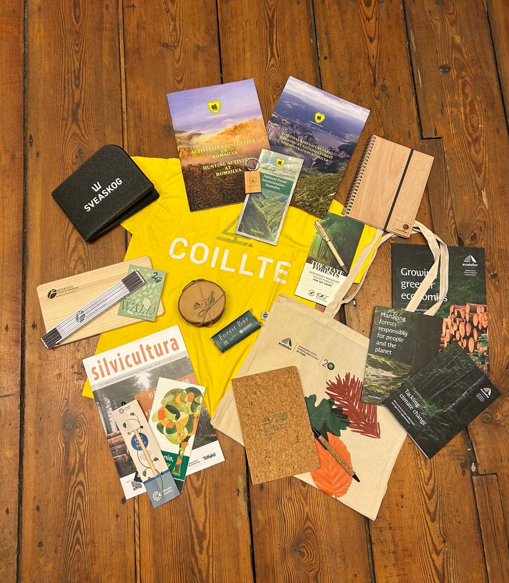 European State Forests tweet media