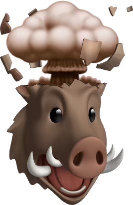 Futinghe tweet media