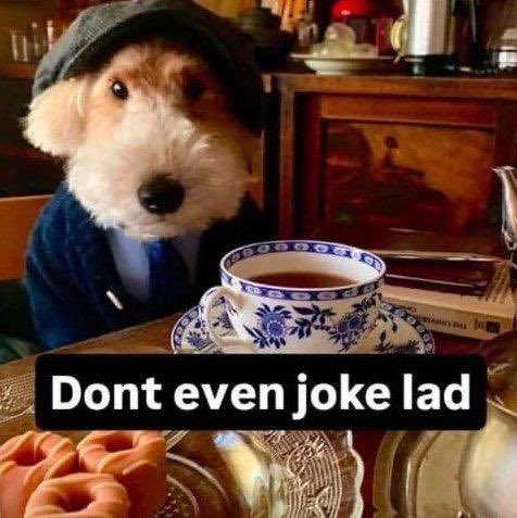 MarbleDog 🔜 LVFC tweet media