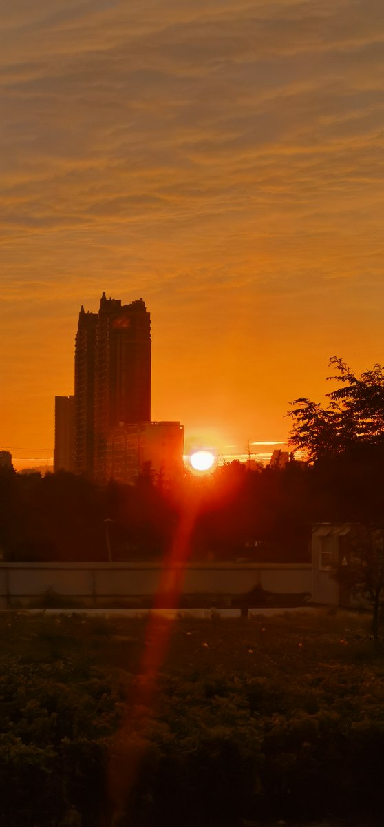 franceska cobbs tweet media