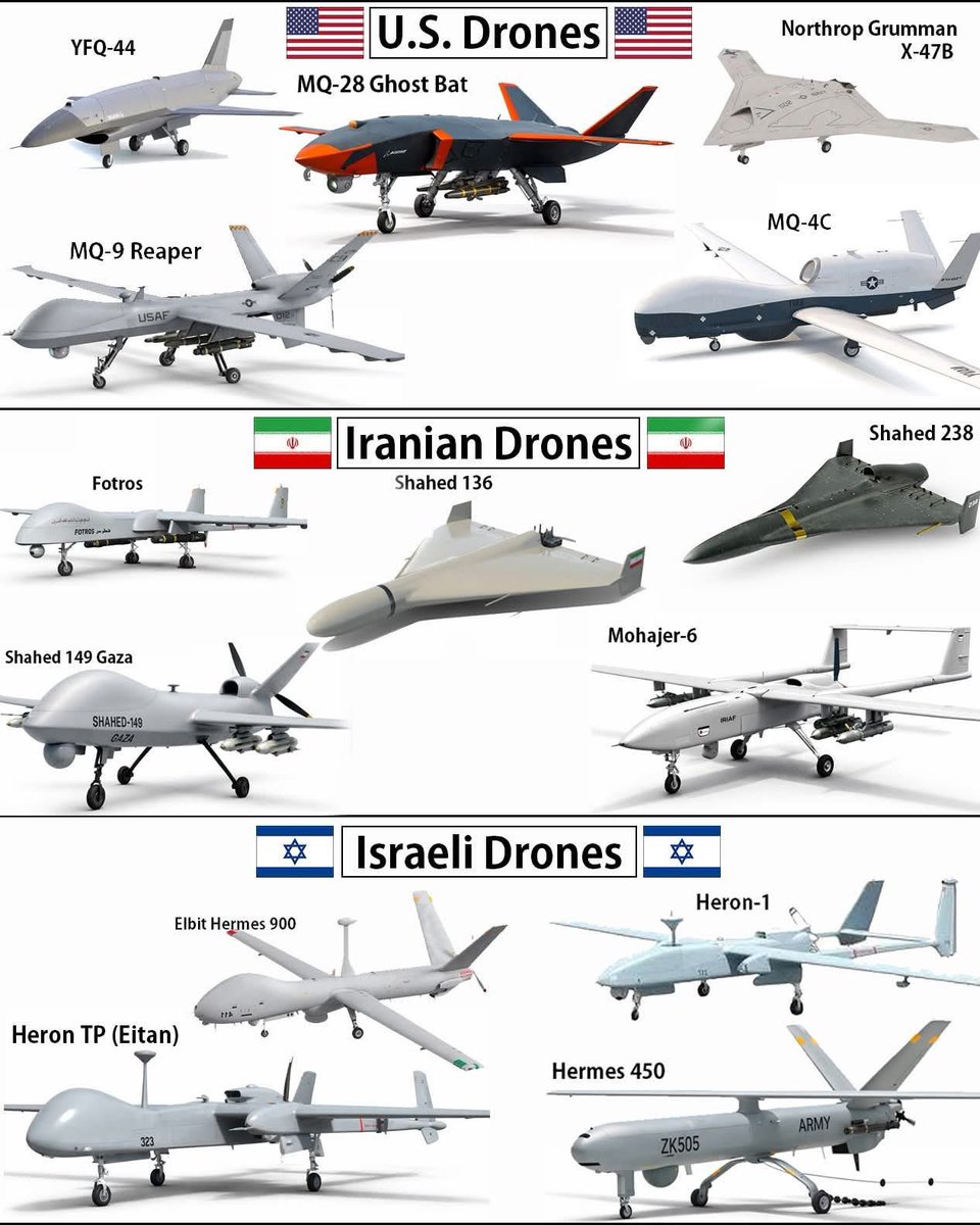 Virginie Sigonney 🇫🇷 tweet media