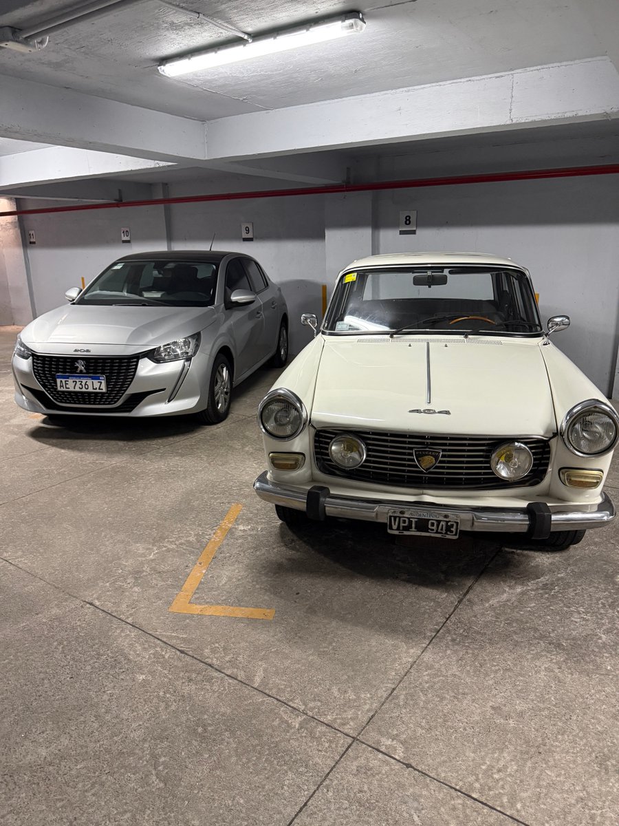  Actuario 𓆰𓆪 🎗️ tweet media