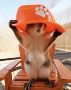 James (@jamesfarme86479) on Twitter photo 