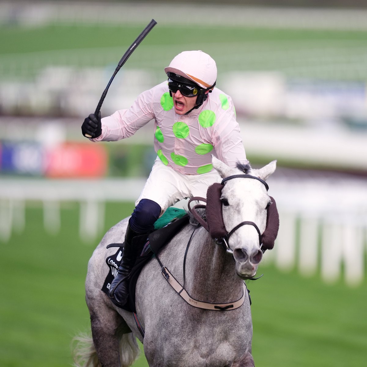 At The Races tweet media