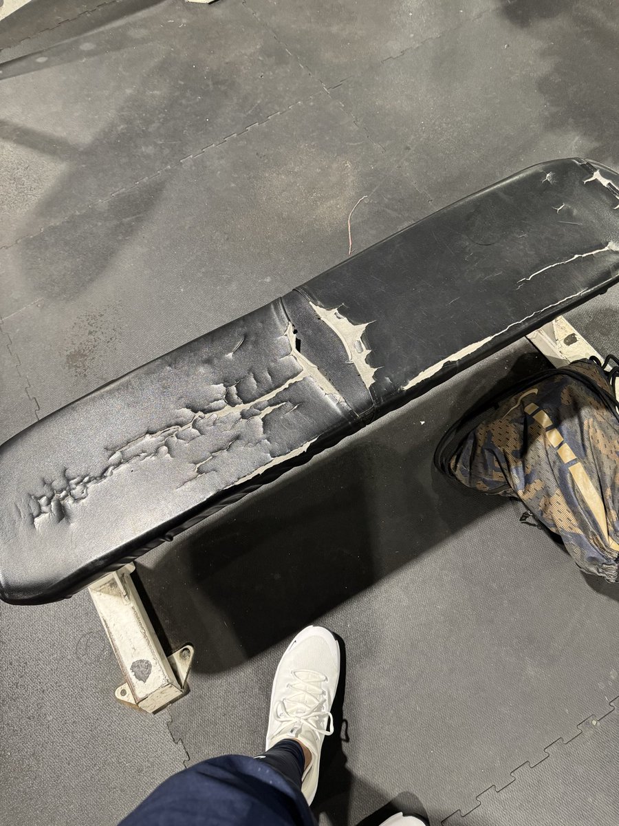 The Mind of Mark®️ tweet media