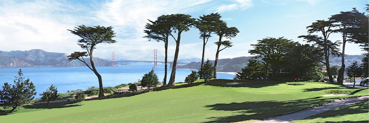 WhiteMoscato tweet media