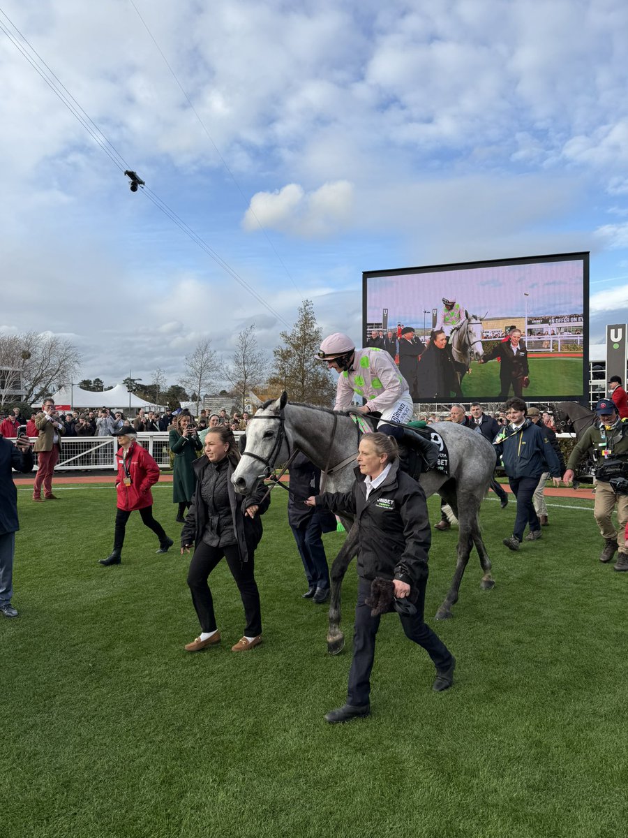 RacingPost's tweet photo. LOSSIEMOUTH WINS THE 2026 CHAMPION HURDLE 🩶🩶🩶 https://t.co/66Y661pUWZ