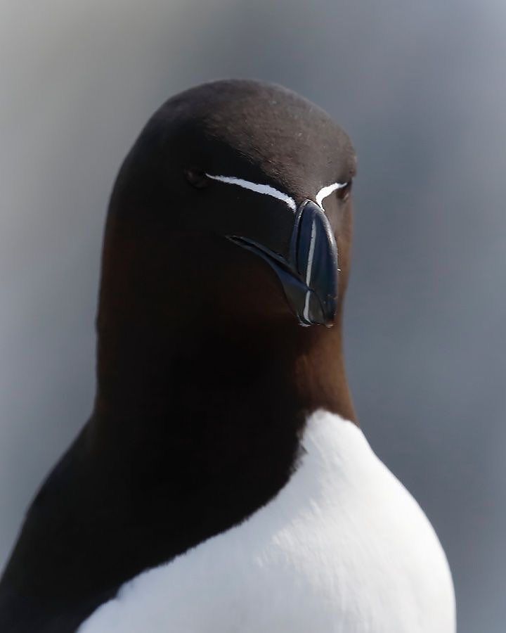 “O ki, yarattığı her şeyi güzel yarattı.”

 Secde - 7