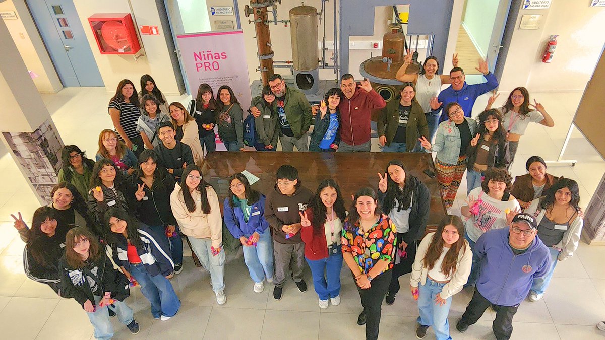 Ingeniería Universidad de Concepción tweet media