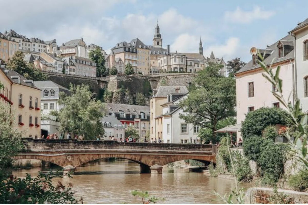 Colin MacLachlan tweet media