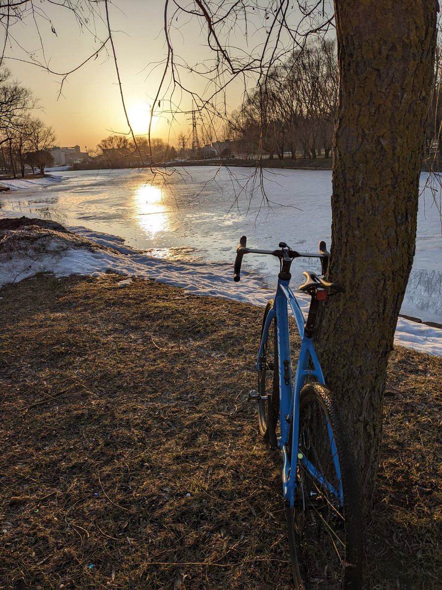 Александро tweet media