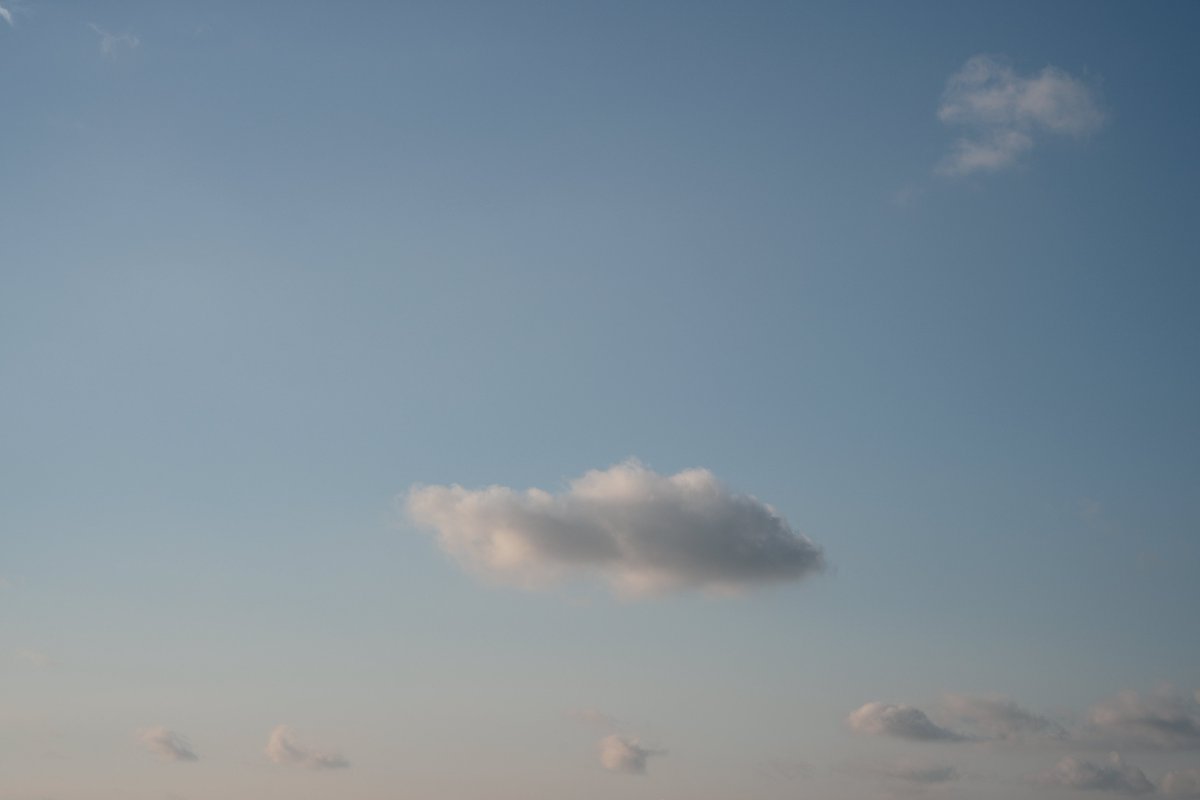 kuma_w's tweet photo. 今日の散歩
こういうなんでもない写真ばかりを撮り続けられるという才能がある https://t.co/tKgNQmdJKl