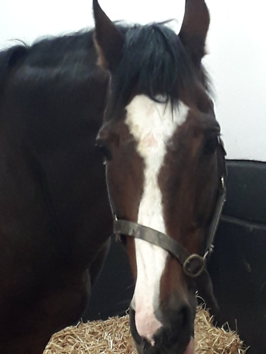 Michael Looby tweet media