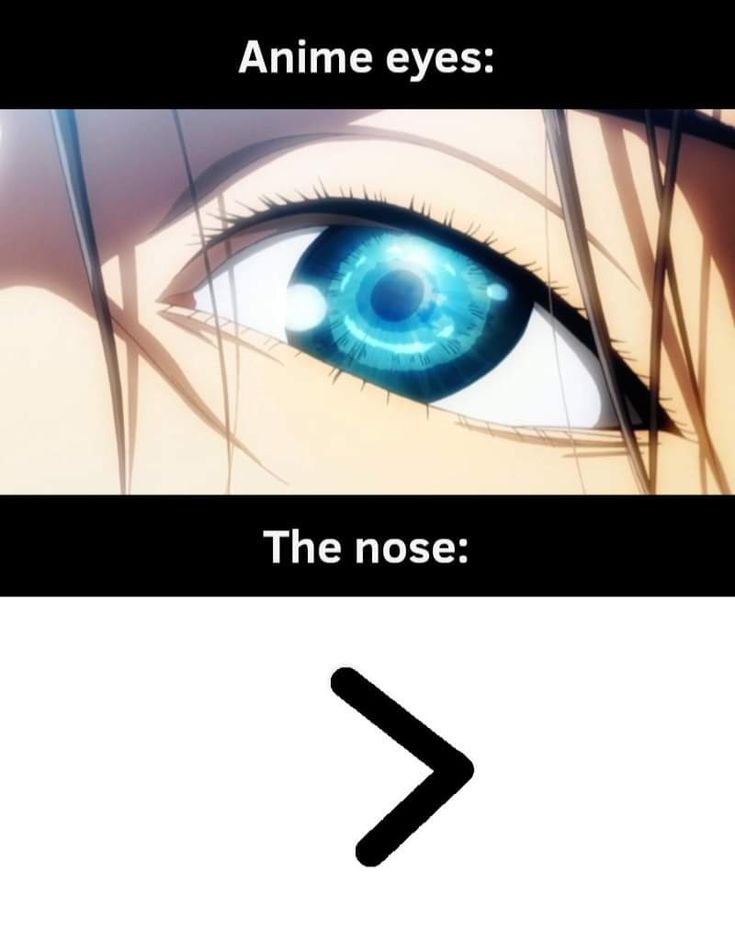 PirateKing👑 tweet media