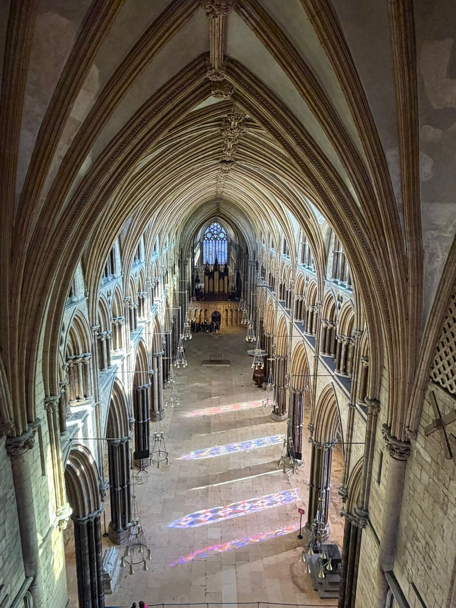 Addison Hunt tweet media