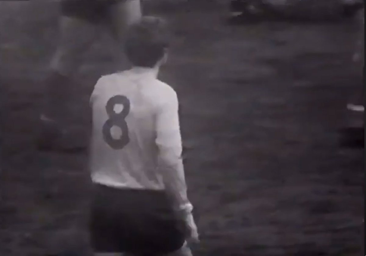 Everton FC Heritage Society tweet media