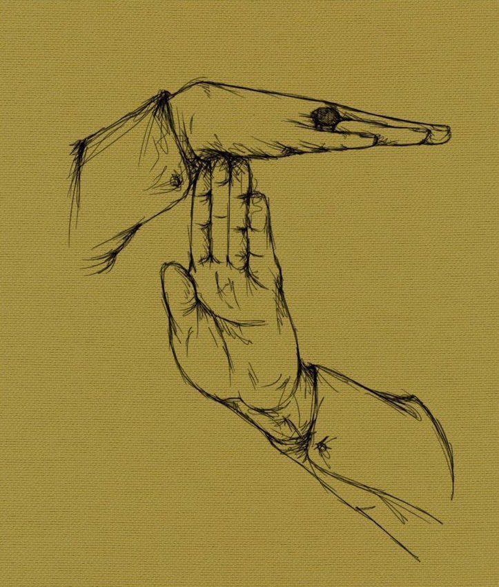 shereena 🔻 tweet media