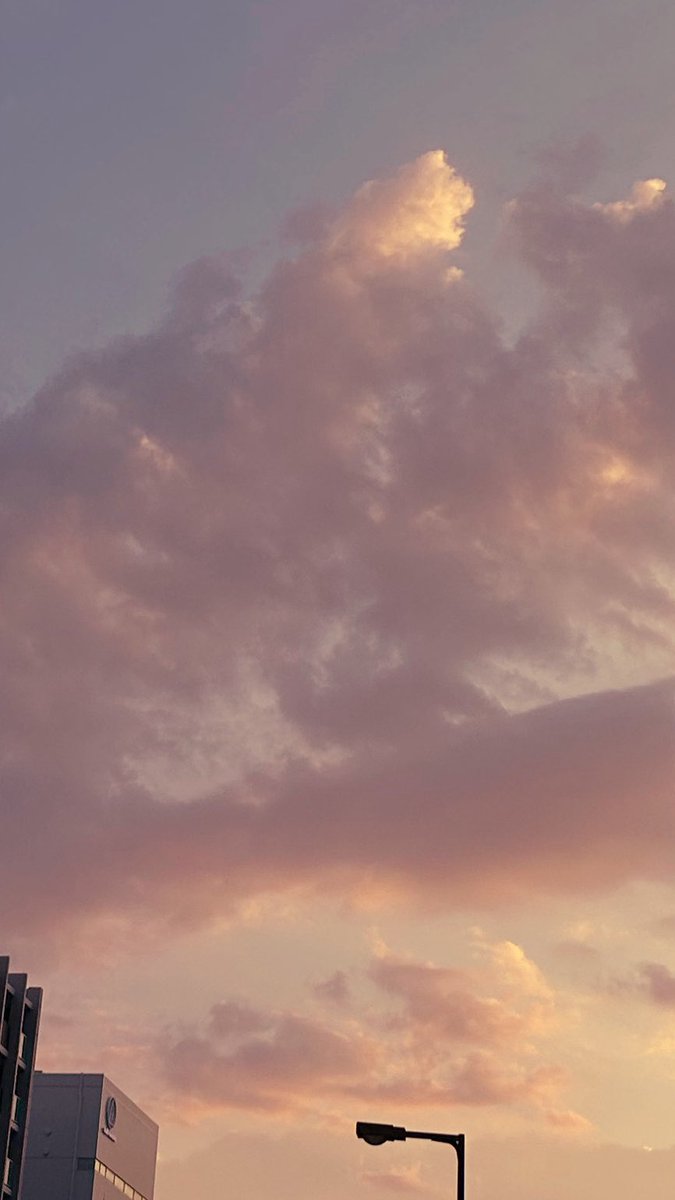 ちーちゃん tweet media