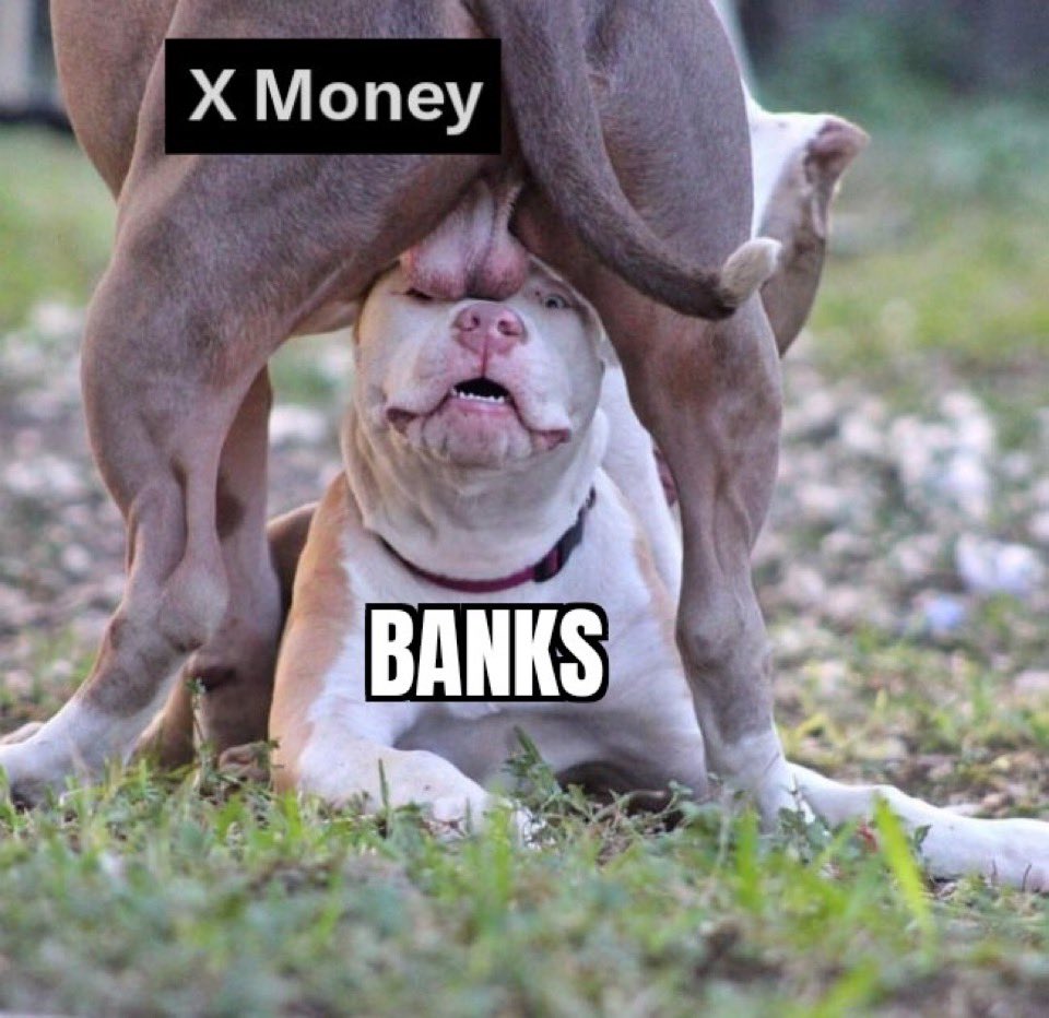 RILΞY 🦍🔮🇨🇦 tweet media