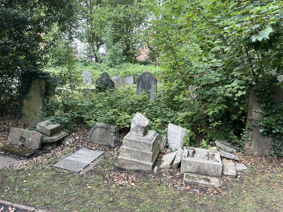 Ladywell Live tweet media