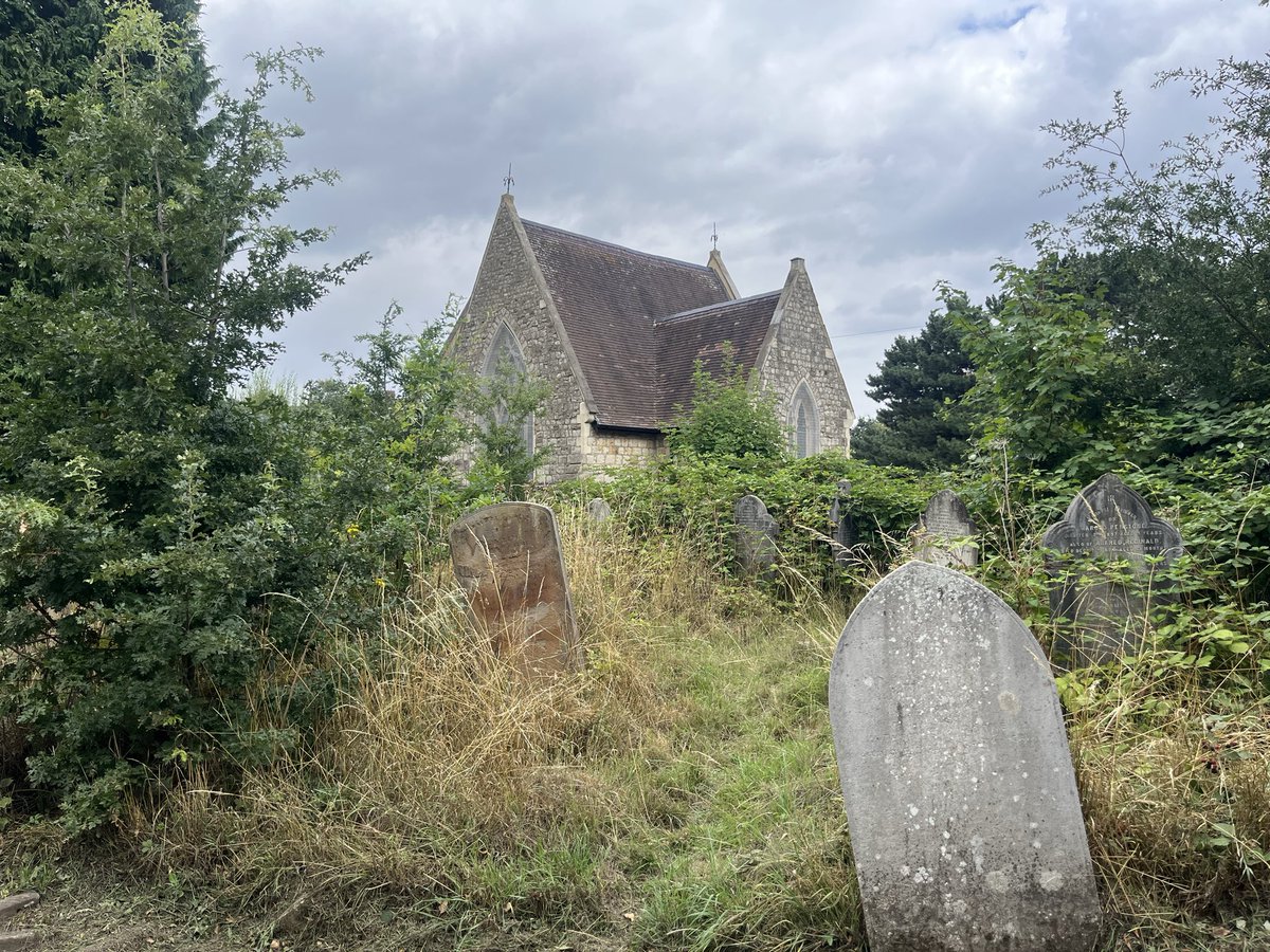 Ladywell Live tweet media