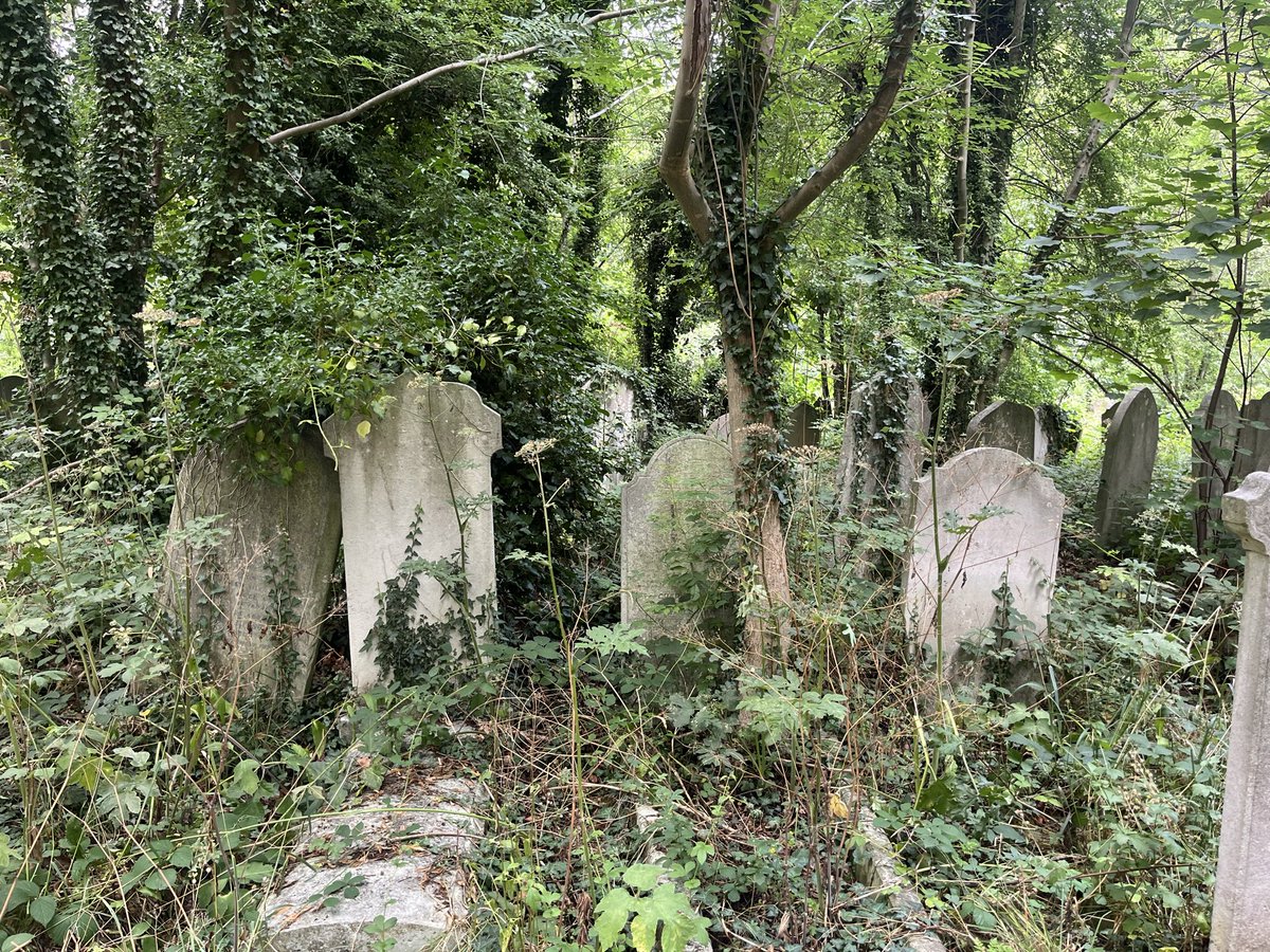 Ladywell Live tweet media