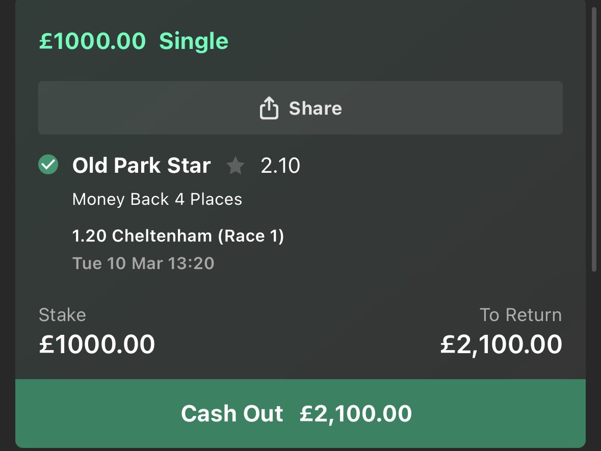 KB Horses tweet media