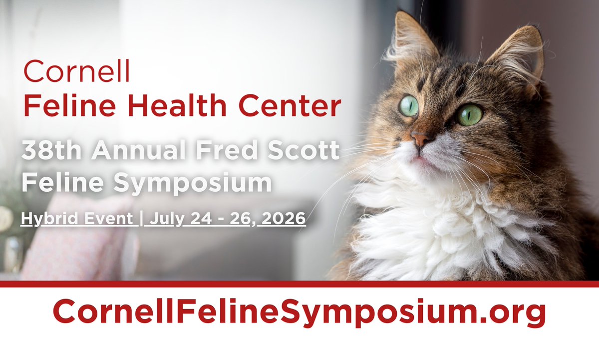 Cornell Feline Health Center tweet media
