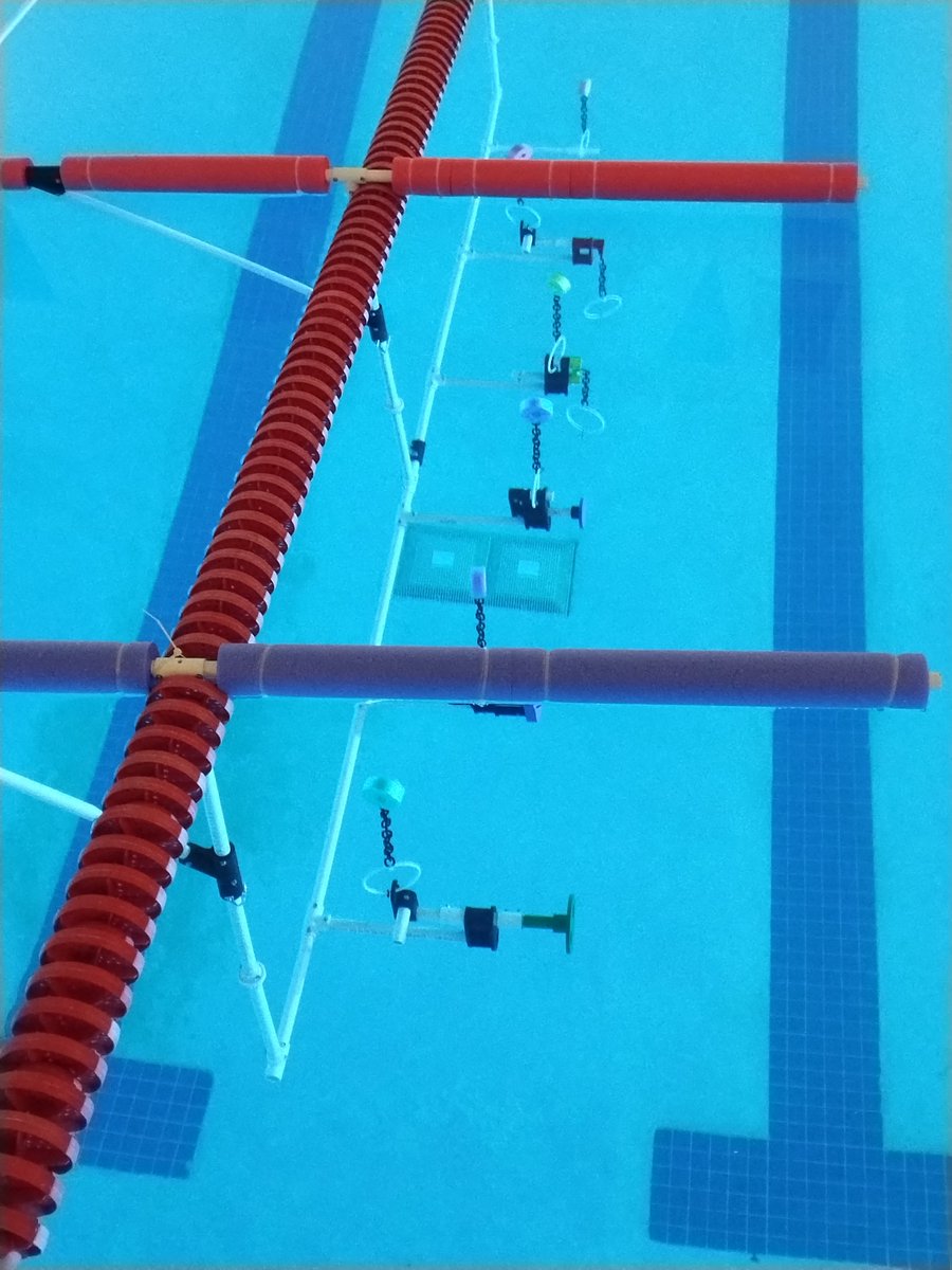 Clinton STEM tweet media