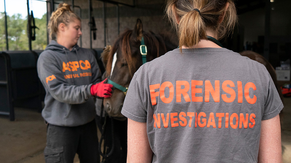 FIU_Forensics tweet media