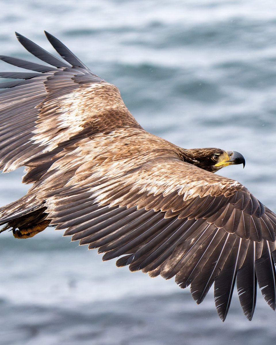 May Harrison tweet media