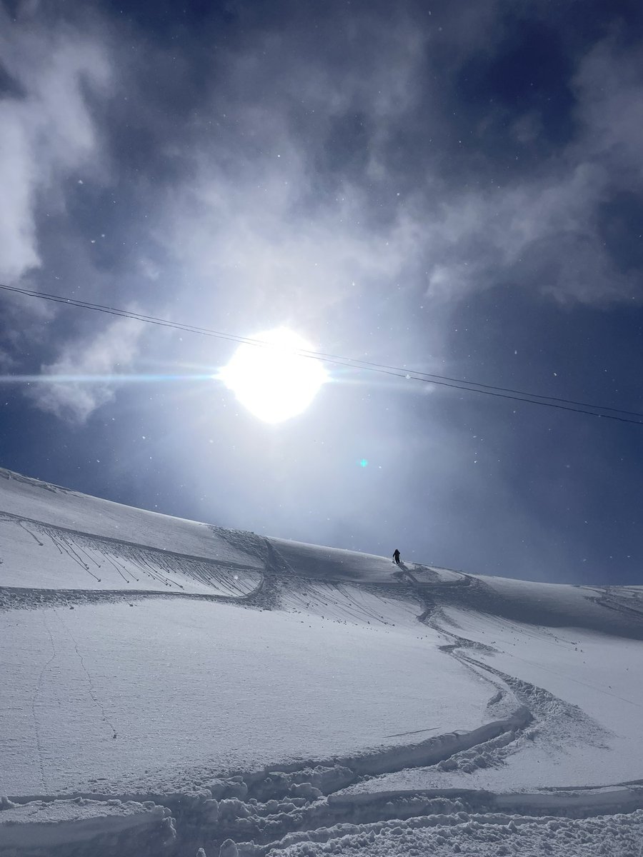 Dominic Bliss tweet media