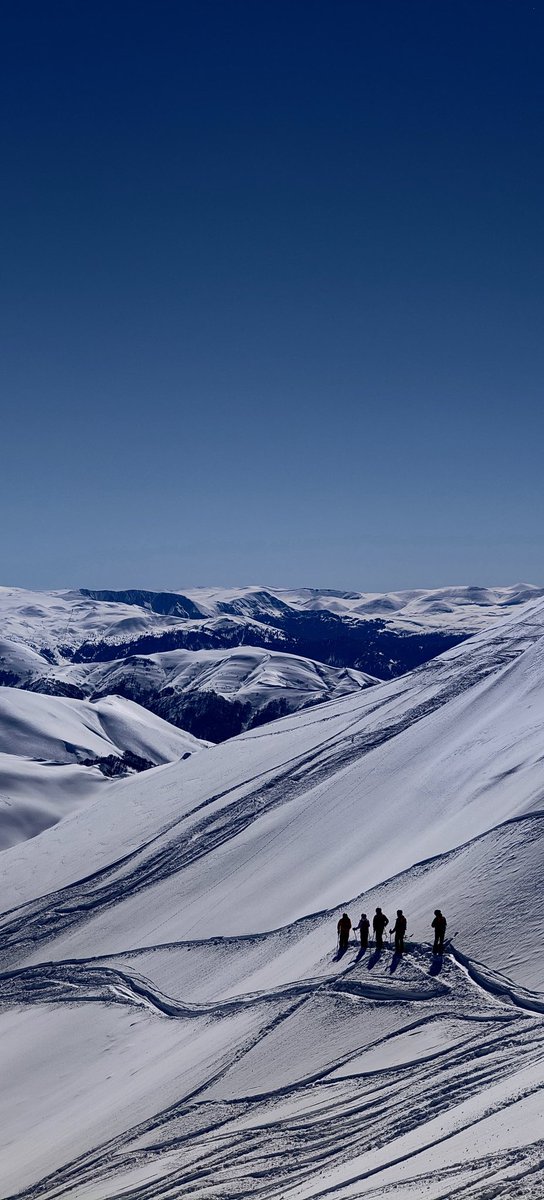 Dominic Bliss tweet media