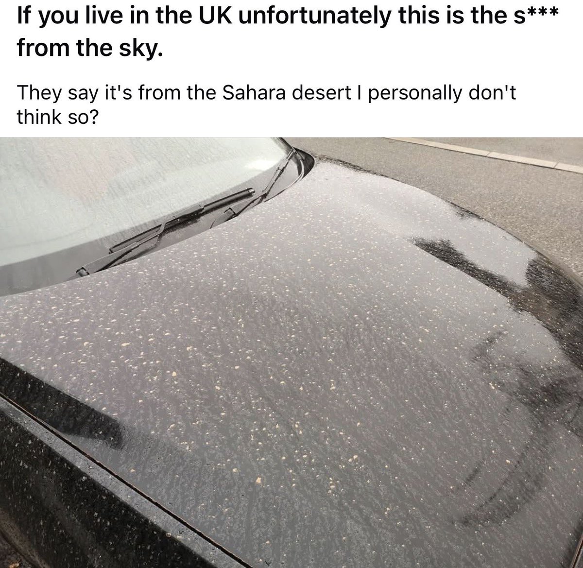 Concerned Citizen tweet media