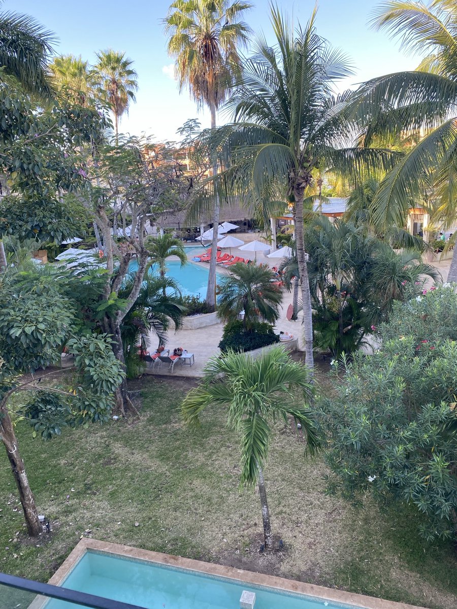 Tom Kieper tweet media