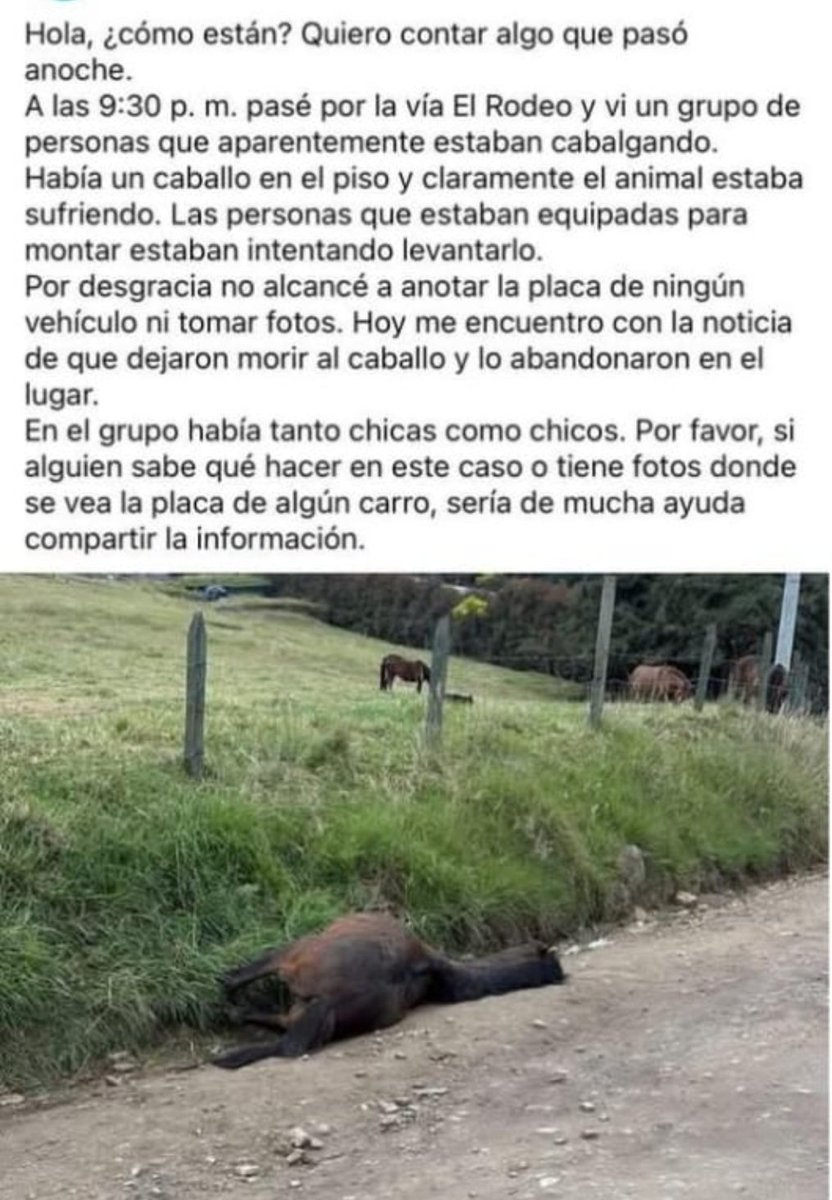 Marce Tabares 🐶 tweet media