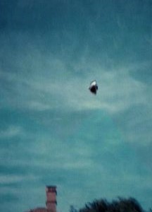 Marc W Shako tweet media