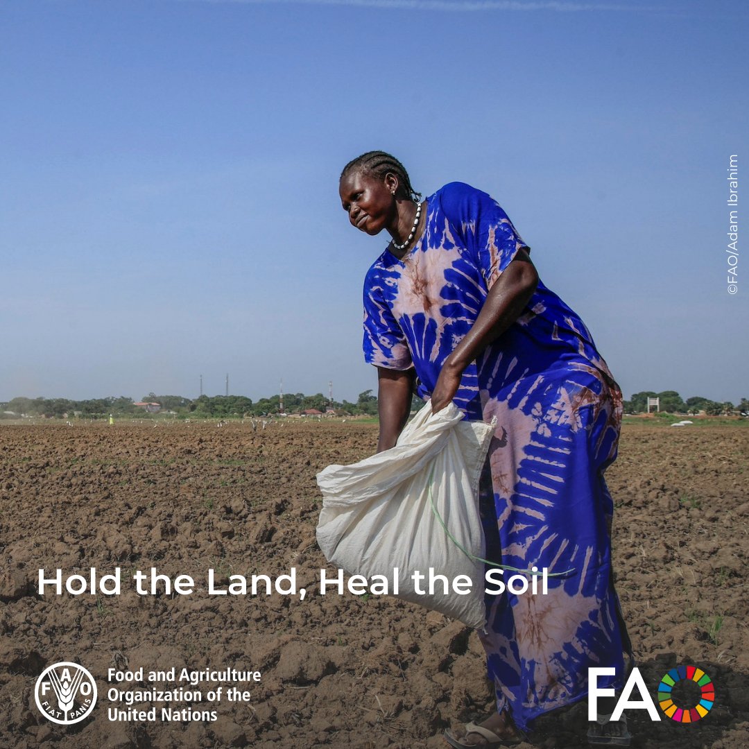 Food and Agriculture Organization tweet media