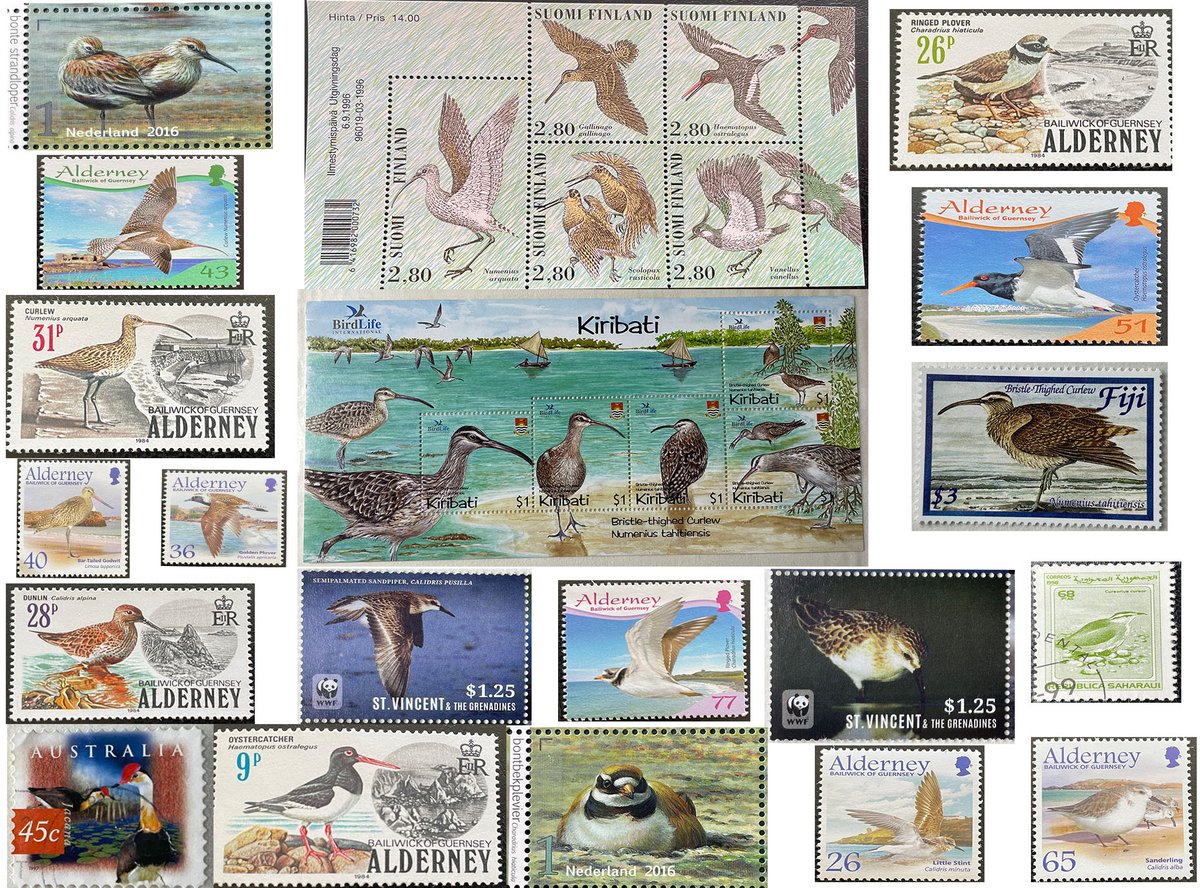 Wader Quest tweet media